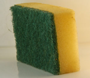 Stinky Sponge
