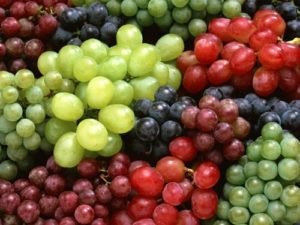 california grapes