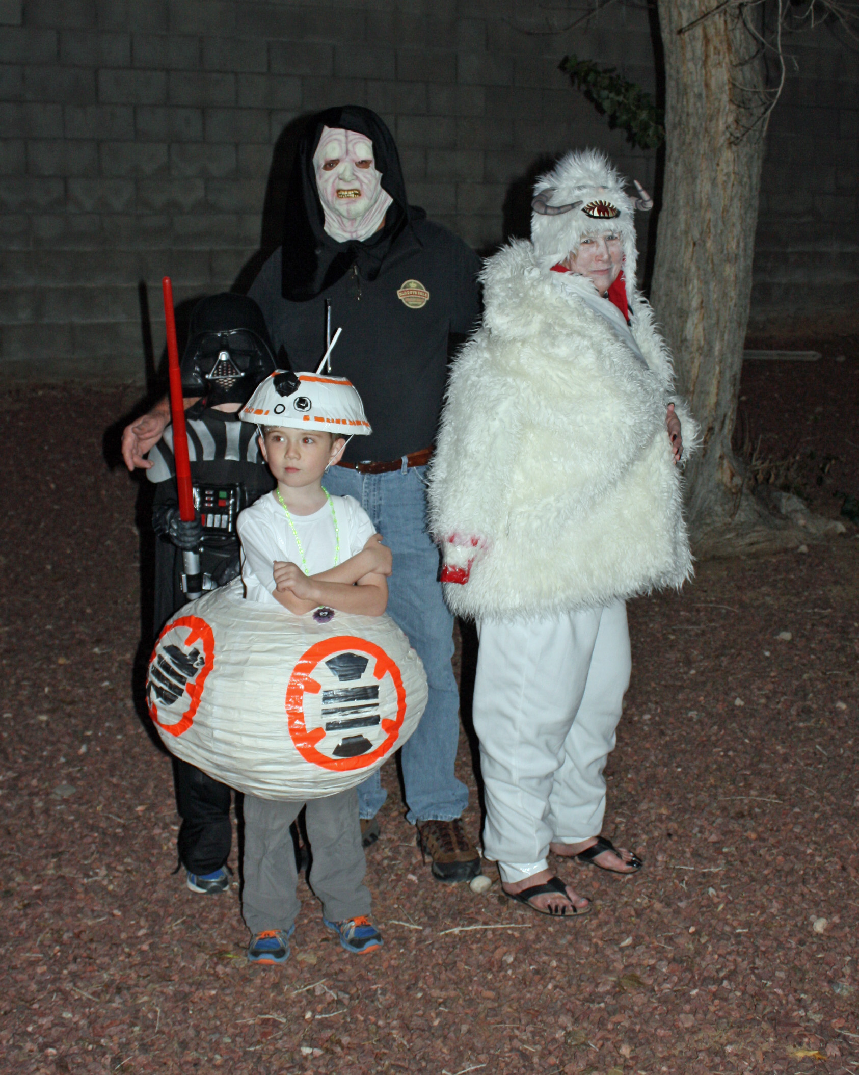 Family halloween costume