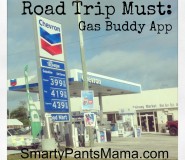 Road Trip Gas