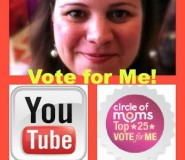 Vlogger Voting