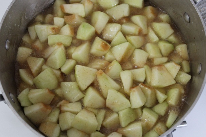 Baked Apple Chimichanga