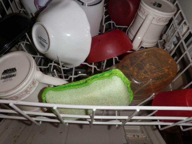 Turning a Stinky Sponge into a Clean Sponge Smarty Pants Mama