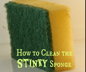 Turning a Stinky Sponge into a Clean Sponge