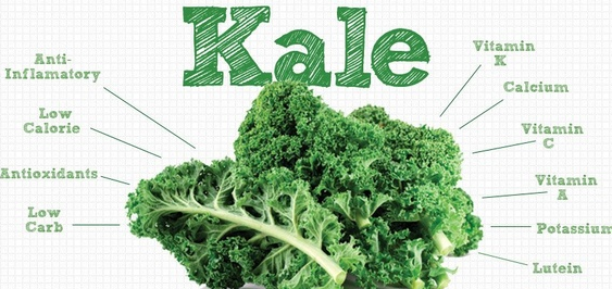 3 Reasons to Eat Kale